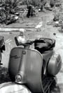 Motorbike