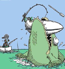 Shark Bait