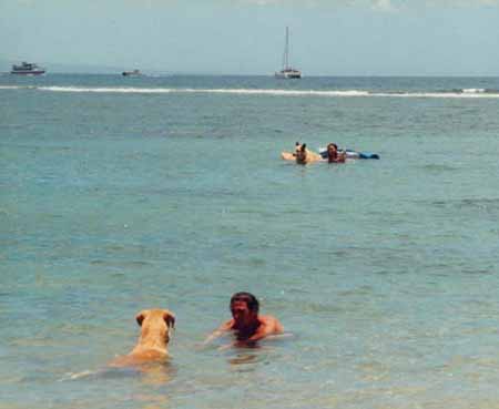 Kahuna doggie