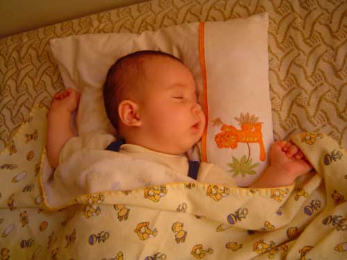 ZZZZZZZZ!!!!