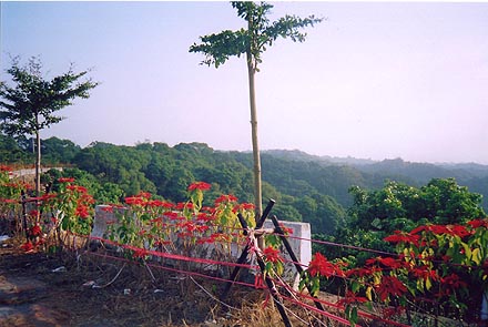 The area around Da-yeh