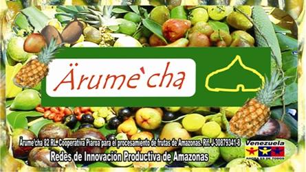 DISEÑO ciencias2.jpg