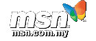 MSN logo