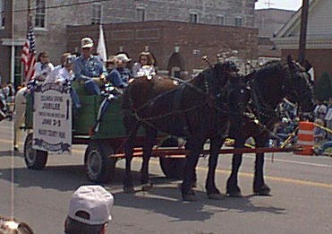 They aint mules!!