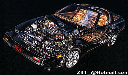 Z31 autopsy pic