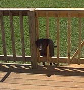 Can you open this thing for me?