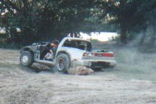 Z31 just for fun!