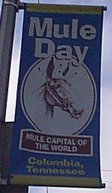 Check out Mule Day !!