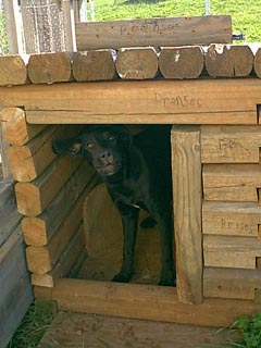 Princess in her log cabin..