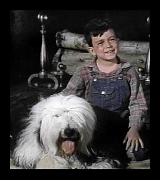 Julia doesn't take to keenly to Peter's dog!
