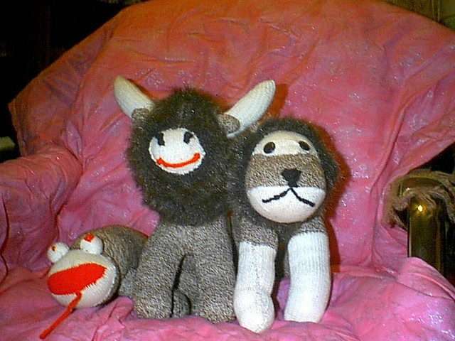 my zoo