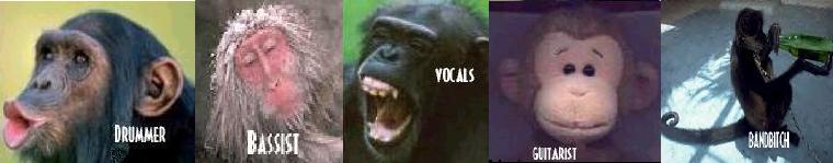 Truth is...we're all a bunch of monkeys