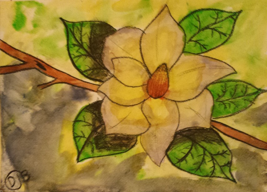 magnolia