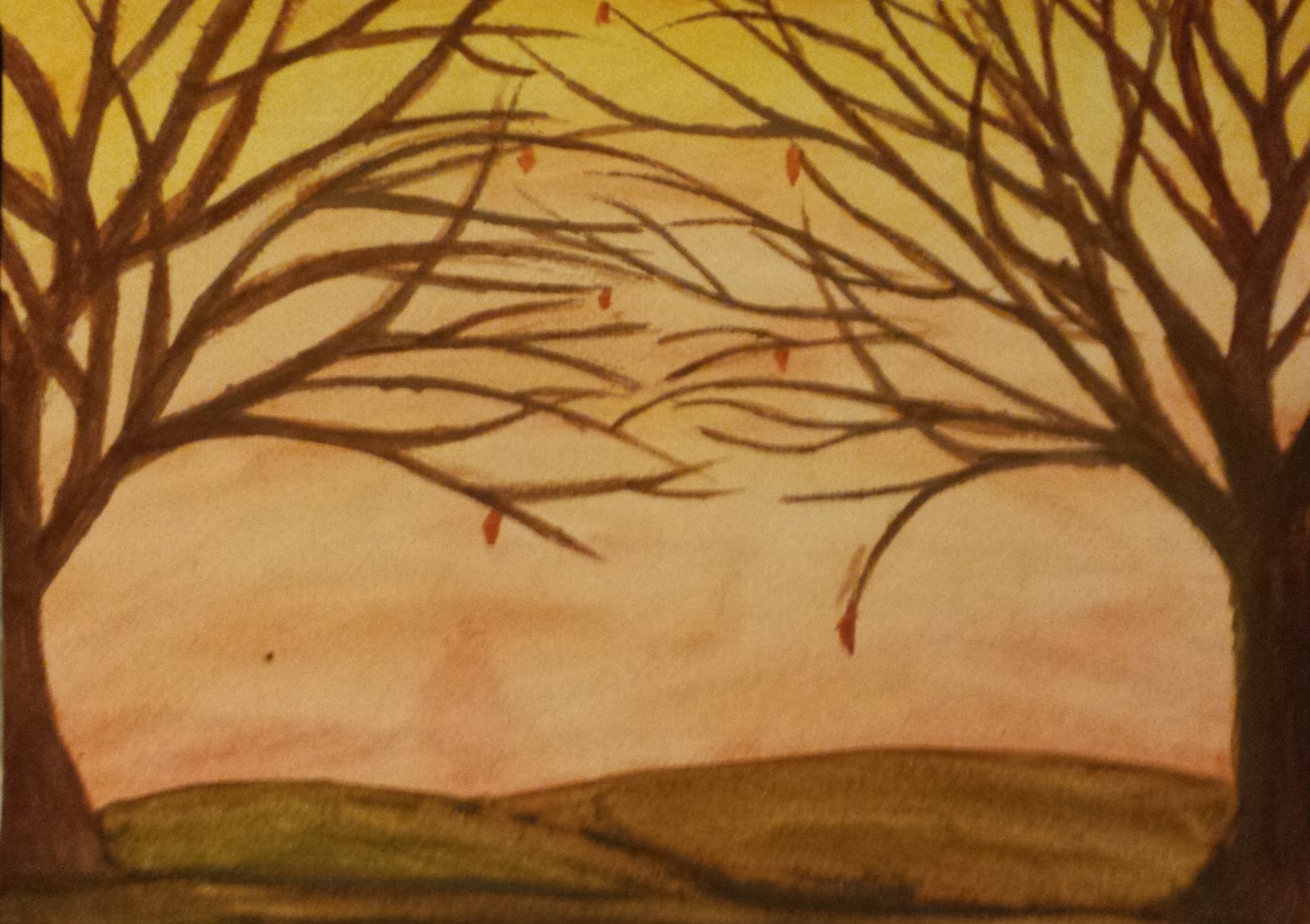 trees