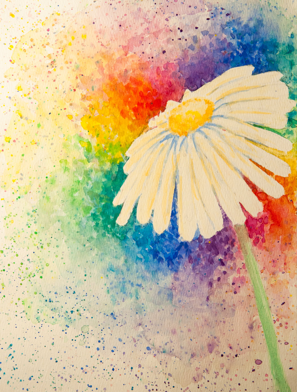 daisy