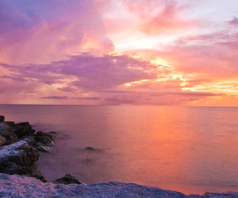 Florida web banner