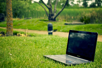 portfolio image