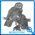 MOREPORK