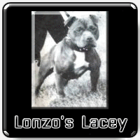 Lonzo's Lacey