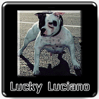 Luciano