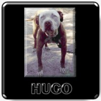 Hugo
