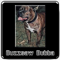 Buzzsaw Bubba