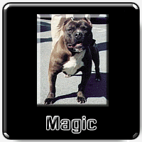 Magic