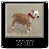 Mary