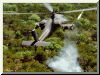 Ah-64 Apache