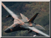 General Dinamics F111 C