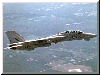 F-14 Tomcat