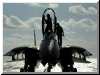 F-14 Tomcat