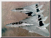 F-14 Tomcat