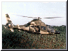 Panther AS 565 UB