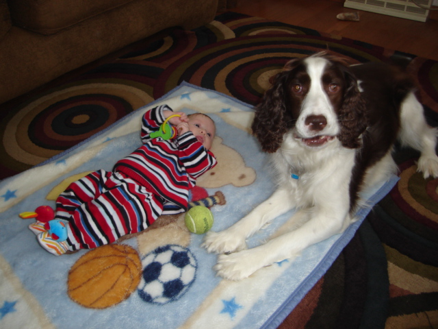 Come'on throw the ball, just once, please???