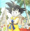 Goku before a Tenkaichi Budokai