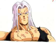 The Super Saiyan Legend