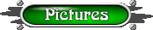Pictures