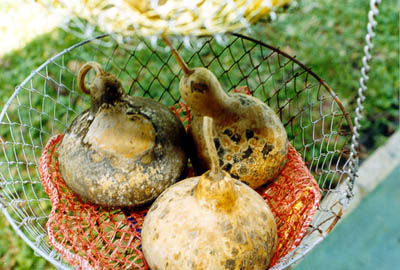 Three More Gourds