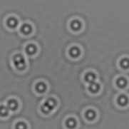 \includegraphics[scale=0.4]{teoria_somma_pattern.ps}