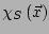 $ \chi_S\left(\vec{x}\right)$