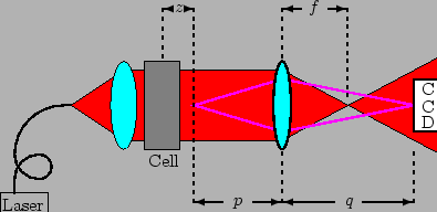 \begin{figure}\begin{center}
\begin{picture}(250,150)(0,0)
\blacken\color{red}\p...
...0,10)
\put(1,15){Laser}
\put(84,40){Cell}
\end{picture}\end{center}
\end{figure}