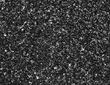 \includegraphics[scale=0.4]{result_2d_imm_5um.ps}