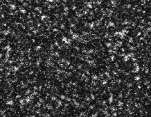 \includegraphics[scale=0.4]{result_2d_imm_10um.ps}