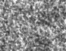 \includegraphics[scale=0.4]{ENFS_immagine_10um.ps}