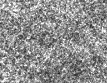 \includegraphics[scale=0.4]{ENFS_immagine_5um.ps}
