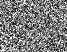 \includegraphics[scale=0.4]{ENFS_segnale_5um.ps}