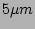 $ 5\mu m$