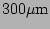 $ 300\mathrm{\mu m}$