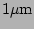 $ 1\mathrm{\mu m}$